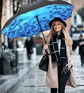 Inverted Umbrella