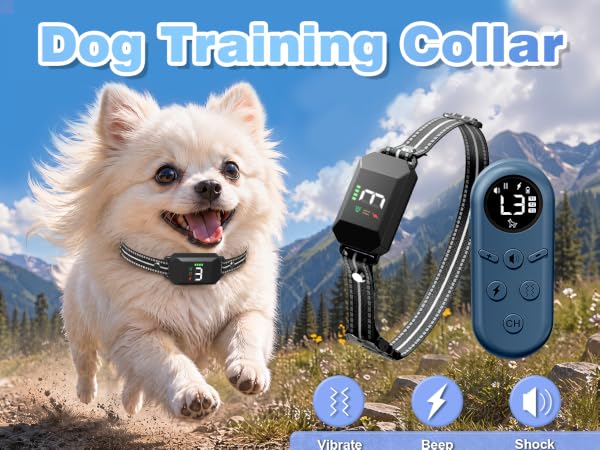 Small Shock Collar for Dogs