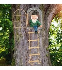https://m.media-amazon.com/images/S/aplus-media-library-service-media/0cff8f21-2b3b-45e0-a726-a6756d8fb924.__AC_SR200,225___.jpg