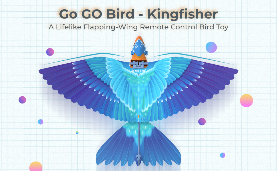 Go Go Bird Kingfisher 02 banner