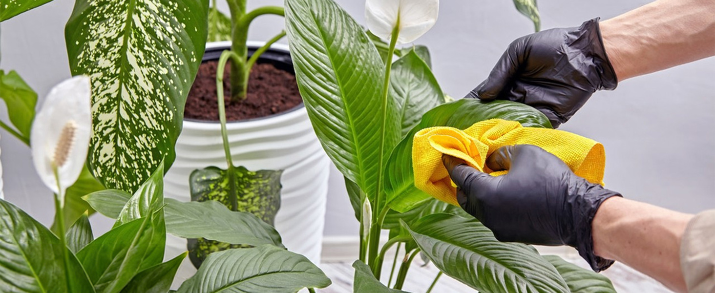 microfiber cleaning cloths