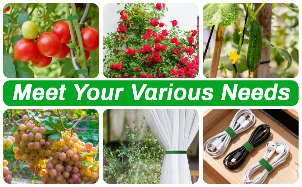 Green ties for Tomato, Rose Bushes, Fruit Trees