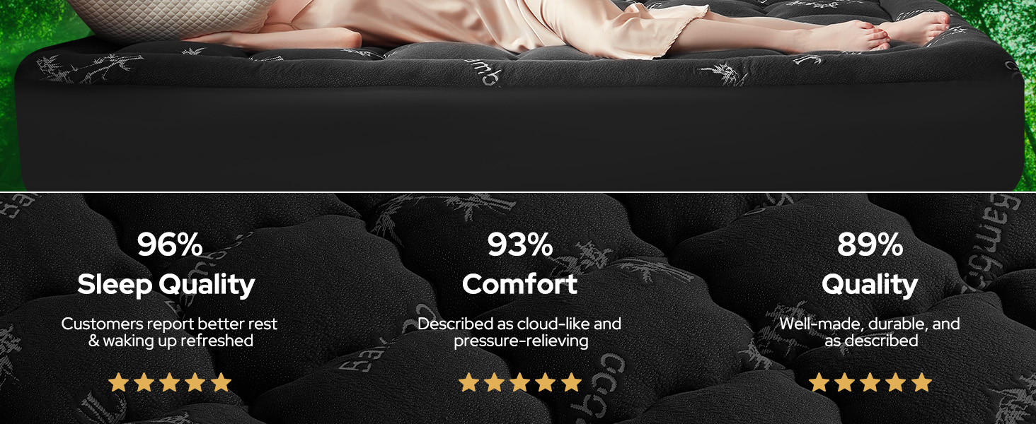 Trusted & Highly Praised by Countless US Customers