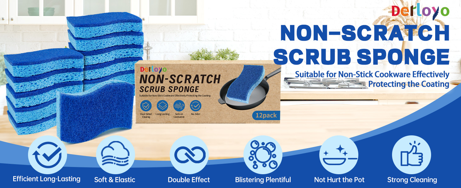 Kitchen Sponges
