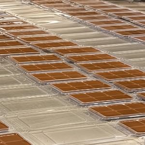 Image of our highy fragrant wax melts cooling off after pouring