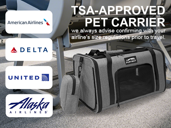 cat carrier grey
