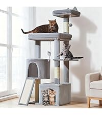 https://m.media-amazon.com/images/I/41nfXWej6pL.__AC_SR200,225___.jpg