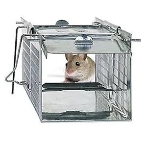 Step 1: Place bait in back of trap