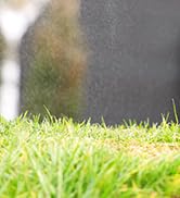 QUOBAS Lawn Sprinkler for Yard, 4 Pattern Sprinkler with 360° Adjustable, Heavy Duty Metal Spike ...