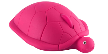turtle mouse