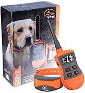 SportDOG SportTrainer Remote Trainer - Reliable Off-Leash Control - OLED Screen - Waterproof Dog ...