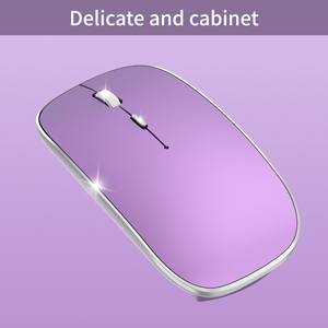 Delicate and cabinet wireless mice