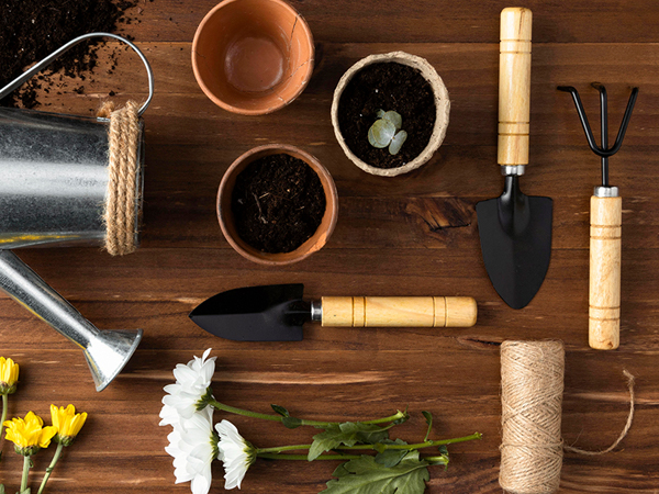 The mini garden tools kit is especially good for office gardening, desk gardening and indoor plants