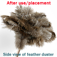 Feather Duster