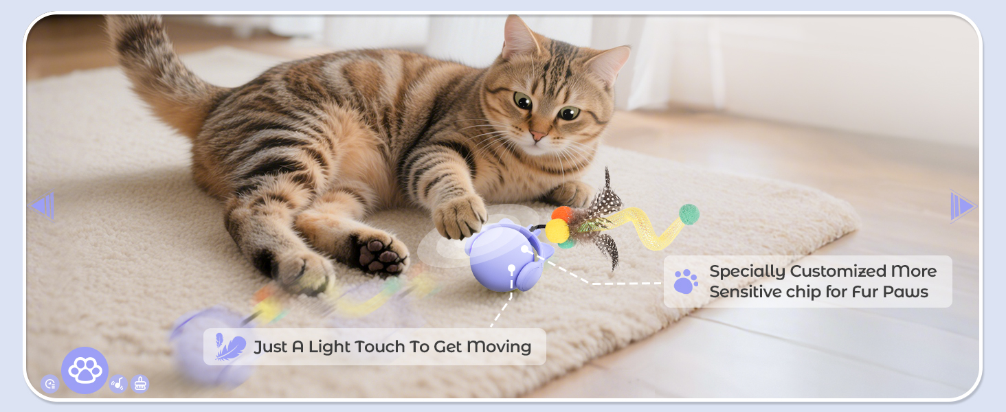 cat toys for indoor cats