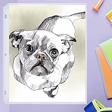 SHEET PROTECTOR FOR DRAWINGS