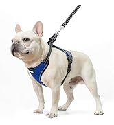 PUPTECK Dog Harness and Leash Set for Small Medium Sized Dogs, No Pull Dog Harness for Walking Tr...