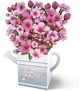 Hierein Pop Up Birthday Cards, Cherry Blossom Watering Can Valentines Card with Envelope & Noteca...