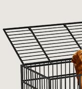 dog crate
