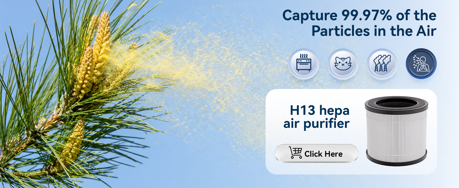 Air Purifiers for Home