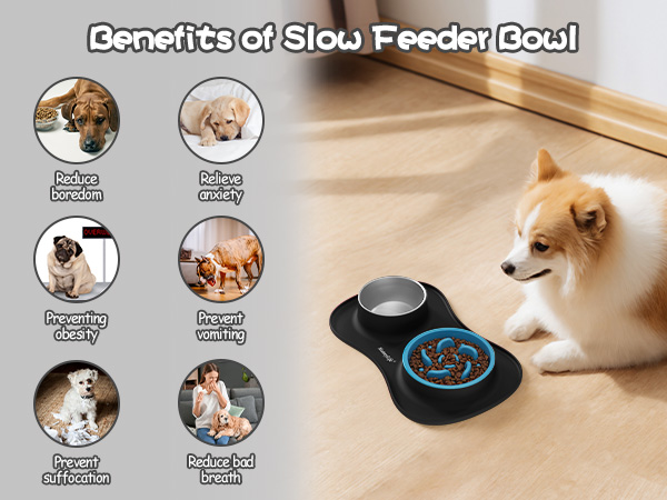 dog bowl set