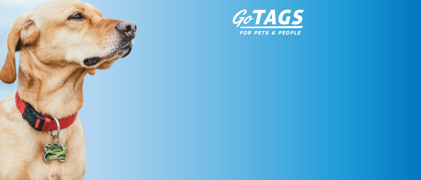 GoTags Dog Tags Personalized for Pets