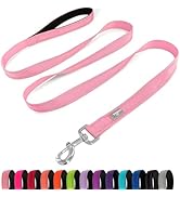 PenSeepet Dog Leash 6 FT Padded Handle Nylon Reflective Dogs Leashes for Small Dogs Pink