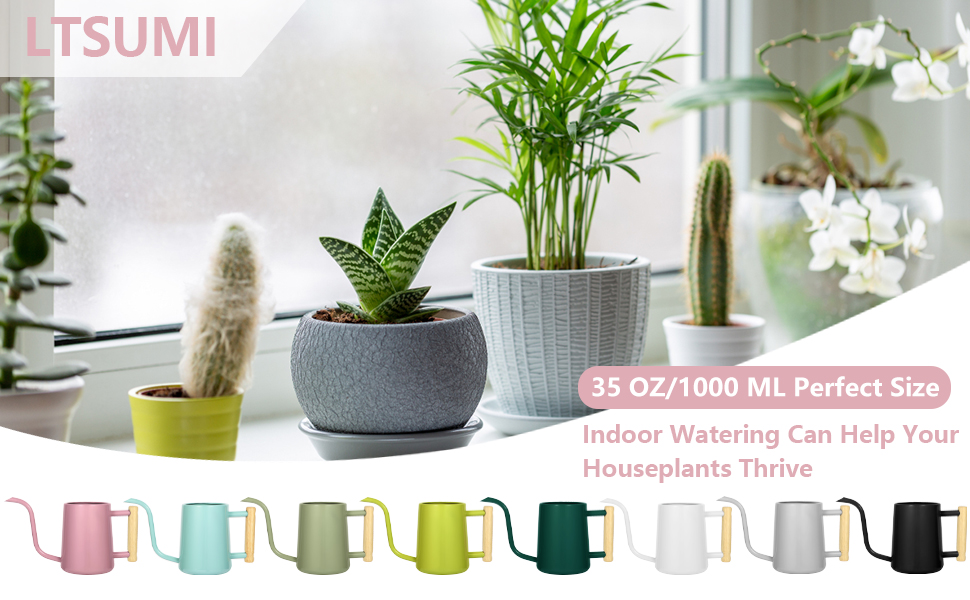 Watering Can Indoor Plants