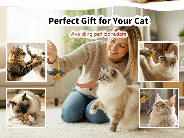 Perfect Gift for Your Cat