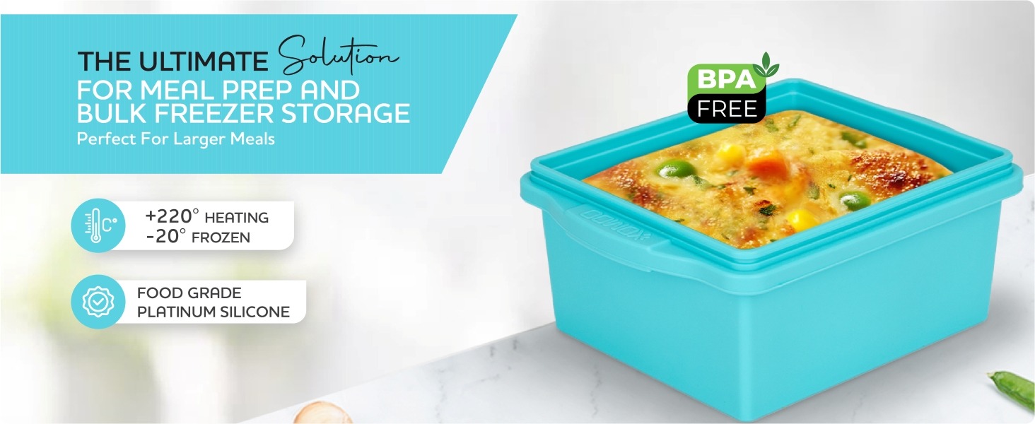 ice tray soup containers with lids silicone molds for food silicone molds 2-Cup freezer cubes