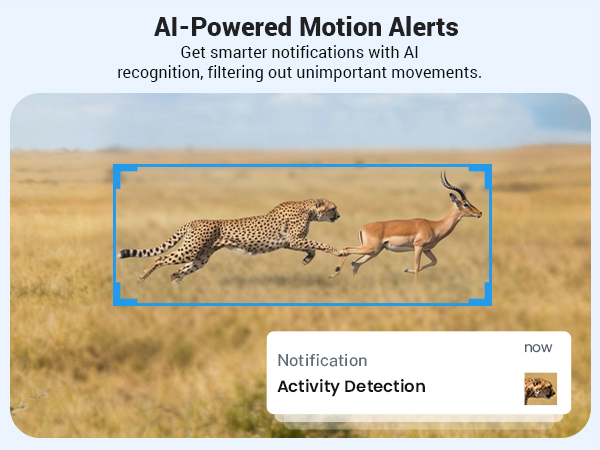 AI Motion Alert
