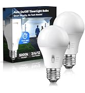 Timer Light Bulb 100W Equivalent, 13W 5000K Bright White, A19 E26 LED, 2pcs | Super Bright Daylig...
