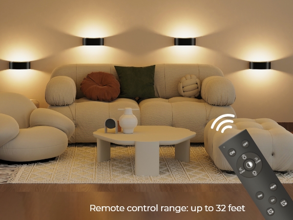 remote control