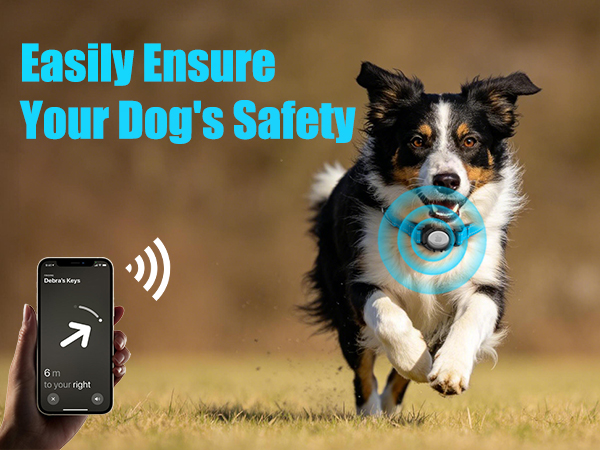 air tag dog collars