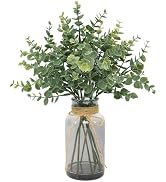 Coferset Eucalyptus Stems in Glass Vase with Faux Water, 14" Eucalyptus Fake Plants for Home Bath...