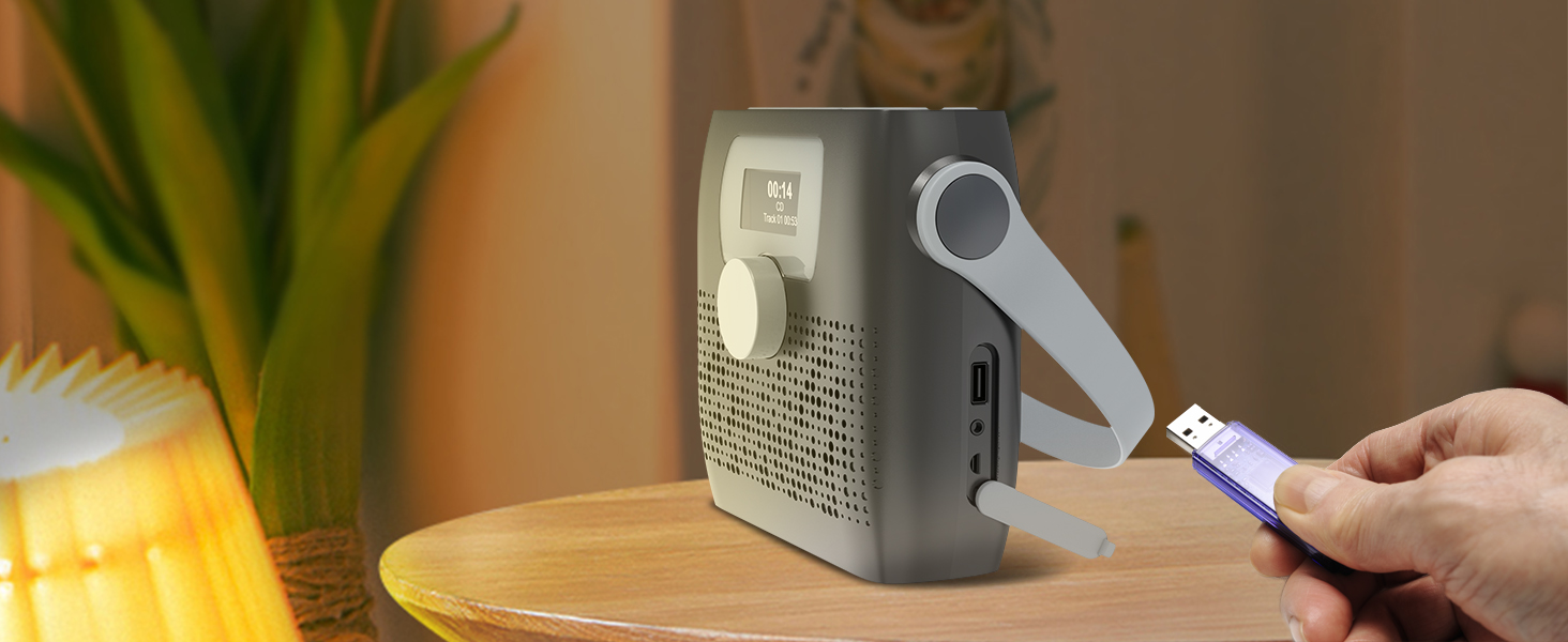 Portable FM Radio