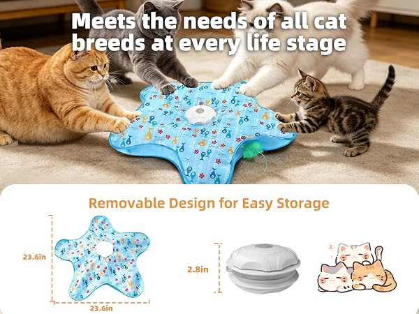 Interactive Cat Toy, Peek-a-Boo Series – Hidden Feather Wand, Rechargeable Indoor Hunting Toy