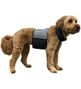 CoolerDog Dog Cooling Vest and Cooling Collar - Ice Vest for Dogs Medium (22" to 27" Girth)
