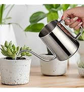 Roamall Small Watering Can for Indoor Plants - 20 oz Mini Indoor Watering Can with Long Spout Goo...