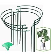 Joyhalo 6 Pack Plant Support Stakes, 16 Inch Peony Cages and Supports, Flower Stakes with 15 Pcs ...