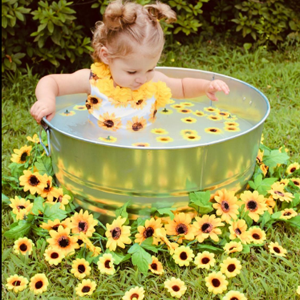 sunflowers