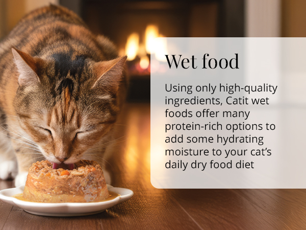 Wet Food using only high-quality ingredients