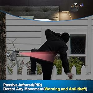 Security Alert System