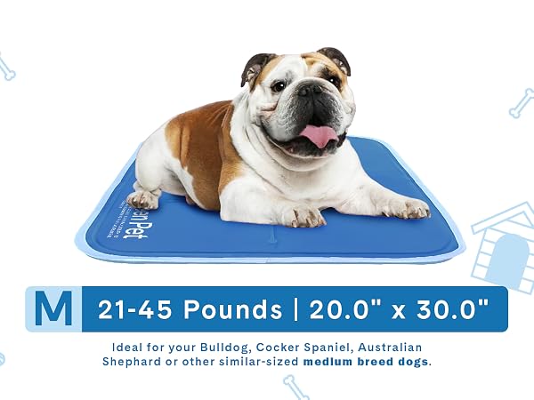 cool pet pad