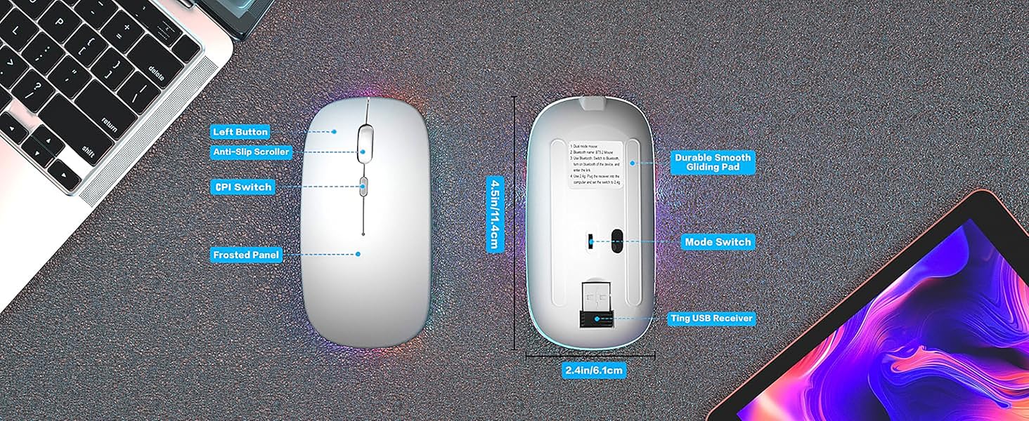 Mouse