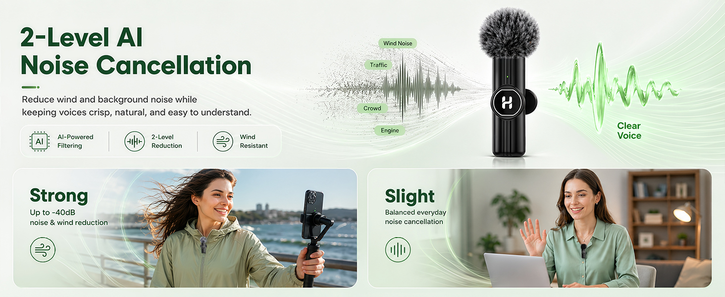 mini mic