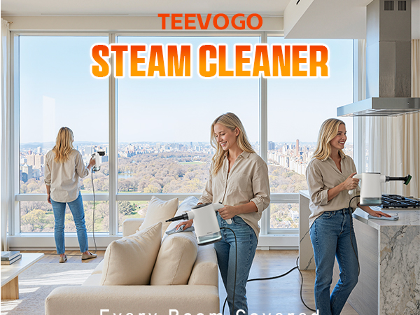steam cleaner