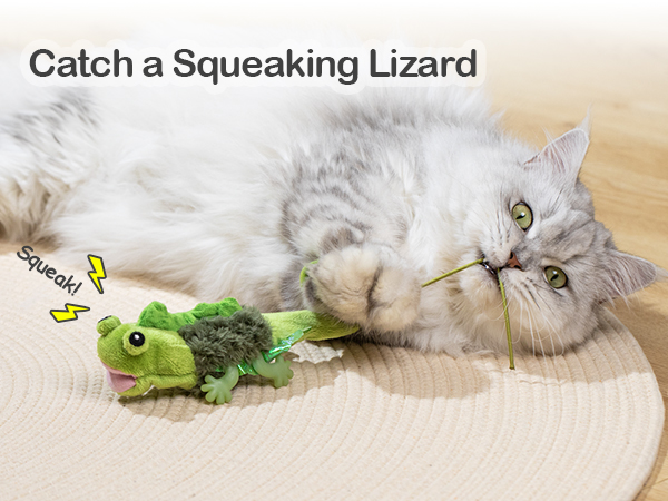 cat toy lizard