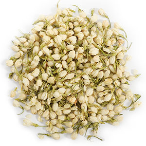 Jasmine