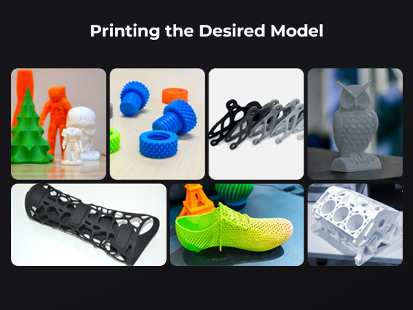 Printing the Desired Model